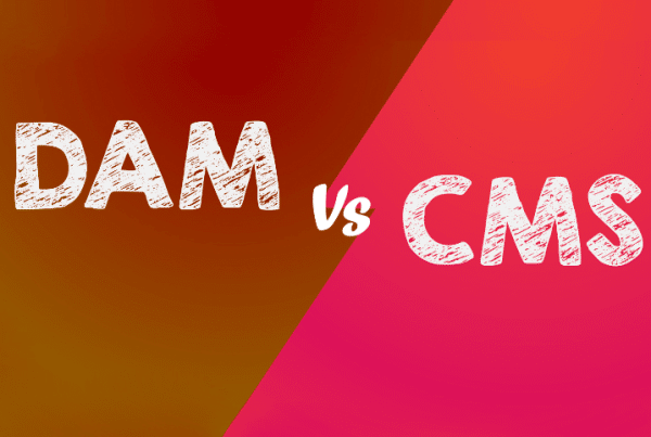 How is DAM different from CMS