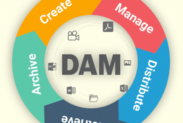 Five best digital asset management vendors for your DAM Needs