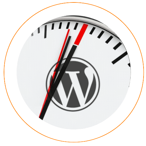WordPress Optimization